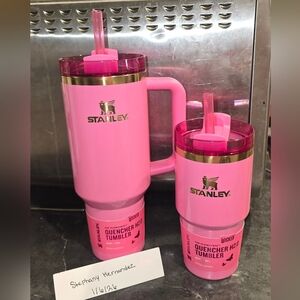 Stanley Wicked "Glinda" Set